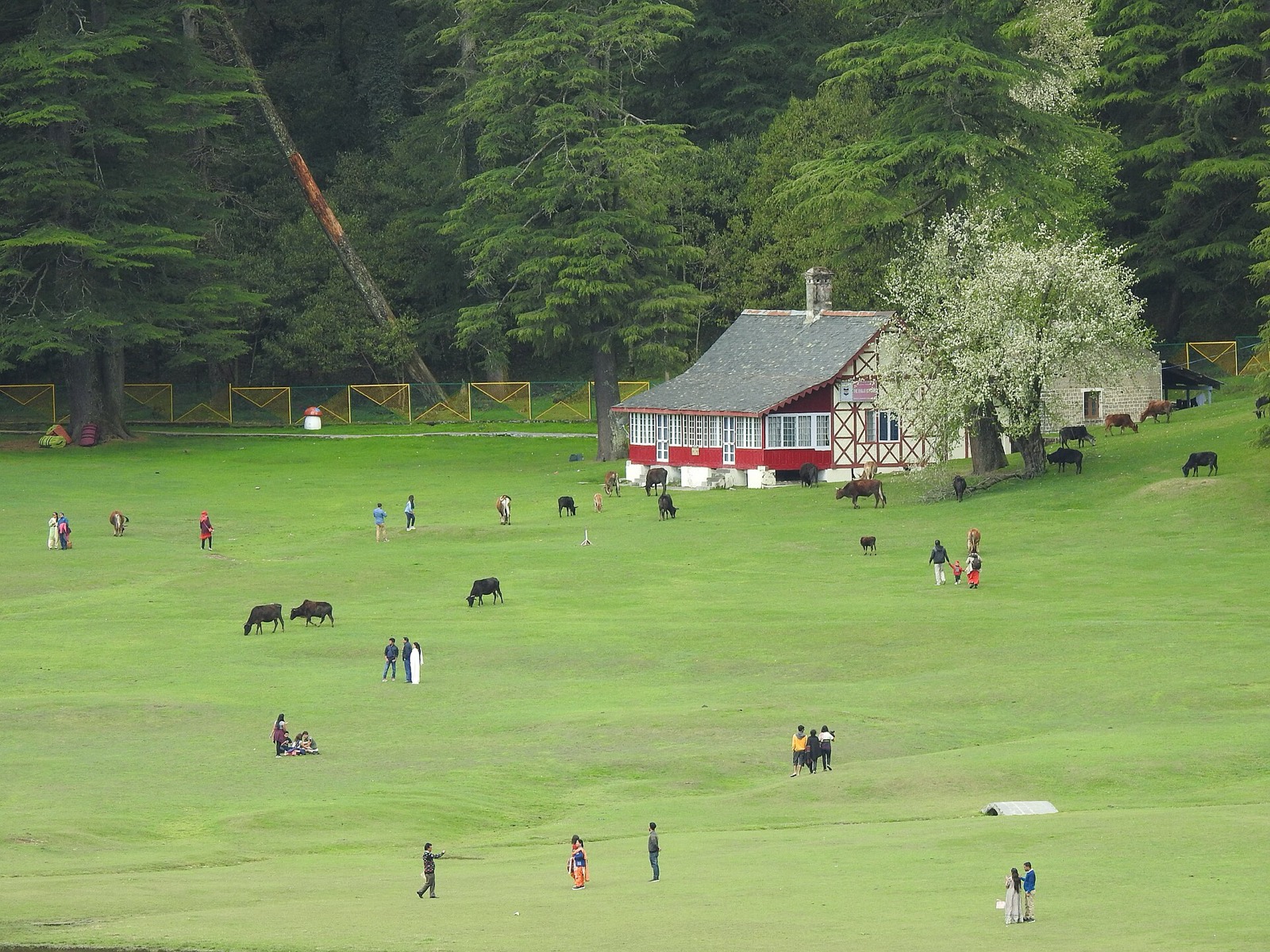 Dharamshala, Dalhousie and Khajjiar